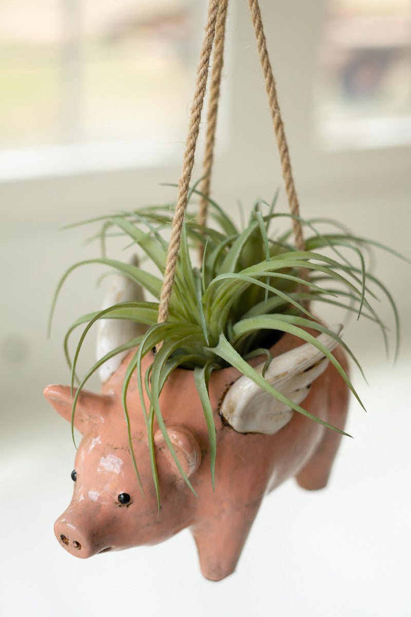 Ceramic Hanging Flying Pig Planter By Kalalou | Planters, Troughs & Cachepots | Modishstore - 2