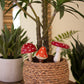 Ceramic Mushroom Plant Sticks Set Of 3 By Kalalou | Ornaments | Modishstore - 2