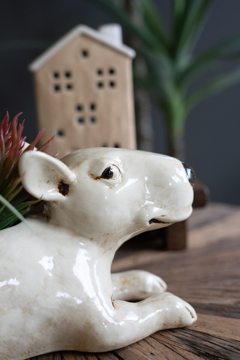Ceramic Bull Terrier Planter (Min 2) By Kalalou | Planters, Troughs & Cachepots | Modishstore - 4