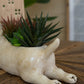Ceramic Bull Terrier Planter (Min 2) By Kalalou | Planters, Troughs & Cachepots | Modishstore - 2