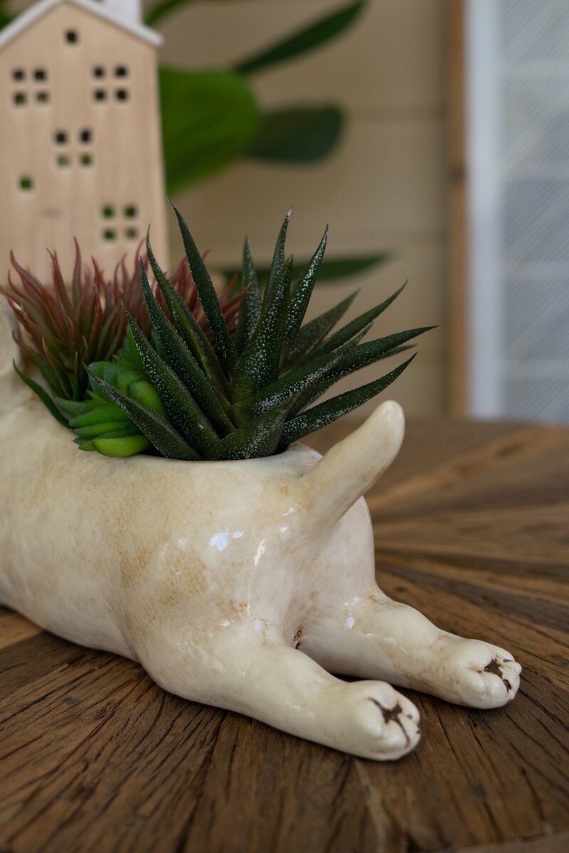 Ceramic Bull Terrier Planter (Min 2) By Kalalou | Planters, Troughs & Cachepots | Modishstore - 2