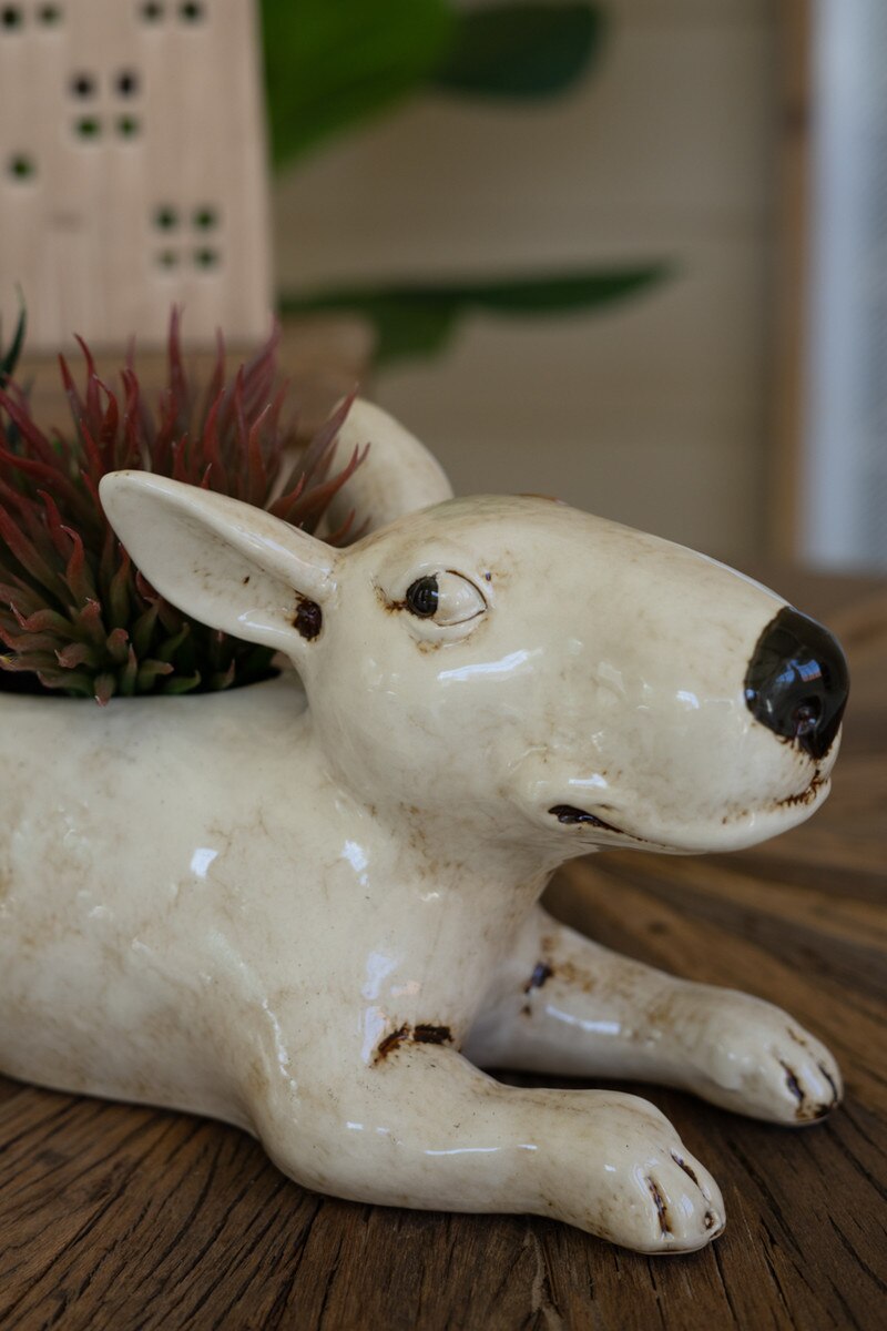 Ceramic Bull Terrier Planter (Min 2) By Kalalou | Planters, Troughs & Cachepots | Modishstore - 3