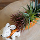 Ceramic Rabbit Pulling A Carrot Planter (Min 2) By Kalalou | Ornaments | Modishstore - 3