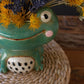 Ceramic Frog Planter (Min 2) By Kalalou