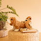 Ceramic Basset Hound Canister By Kalalou