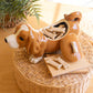Ceramic Basset Hound Canister By Kalalou