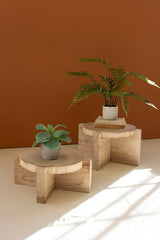 Set Of Two Wooden Display Stools (Min 2) By Kalalou