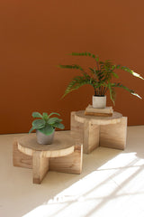 Wooden Display Stools Set Of 2 By Kalalou