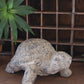 Faux Concrete - Turtle By Kalalou | Garden Sculptures & Statues | Modishstore - 3