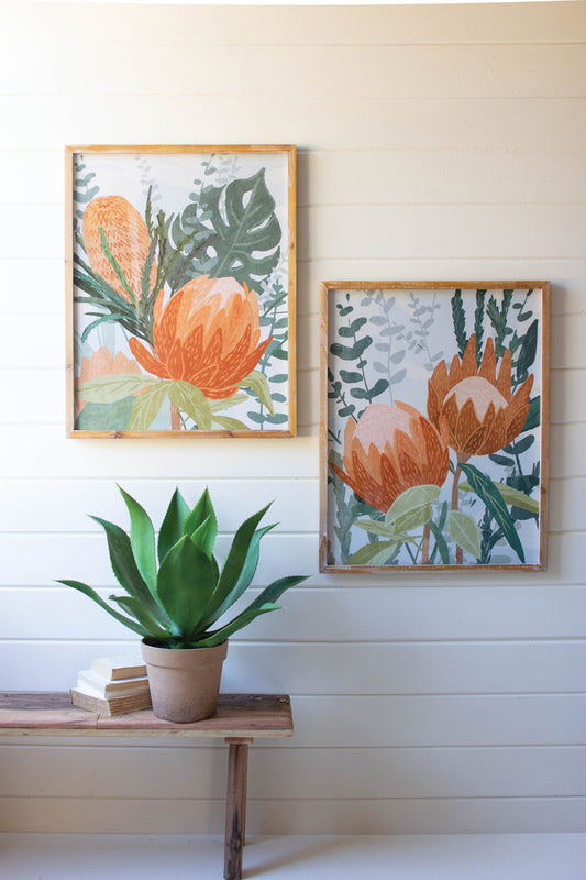 Framed Prints Under Glass - Protea Set Of 2 By Kalalou | Wall Painting | Modishstore