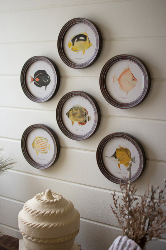 Round Framed Tropical Fish Prints Under Glass Set Of 6 By Kalalou | Wall Painting | Modishstore