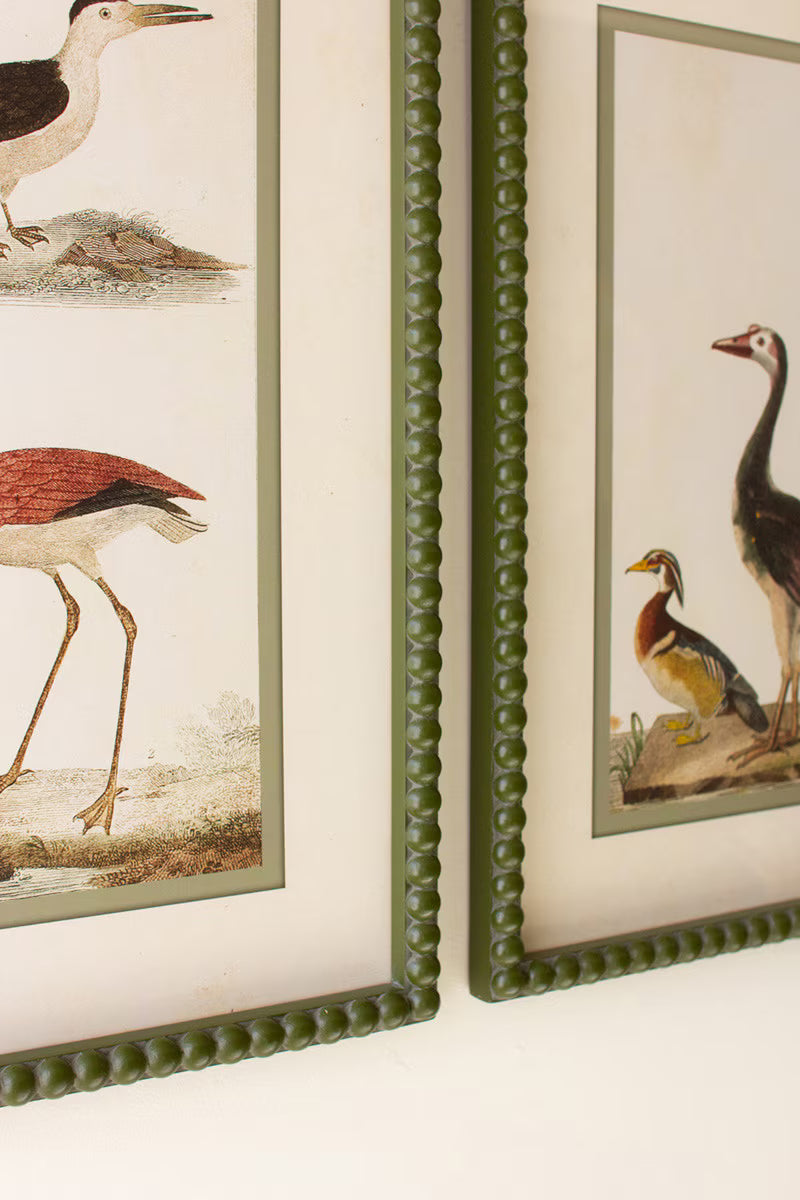 Set Of Two Birds Prints Under Glass By Kalalou