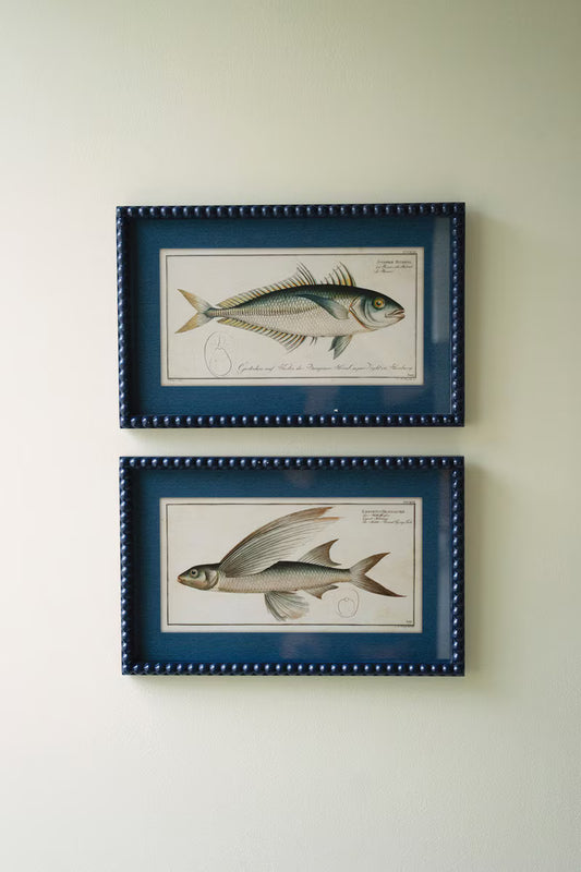 Set Of Two Navy Framed Fish Prints Under Glass By Kalalou