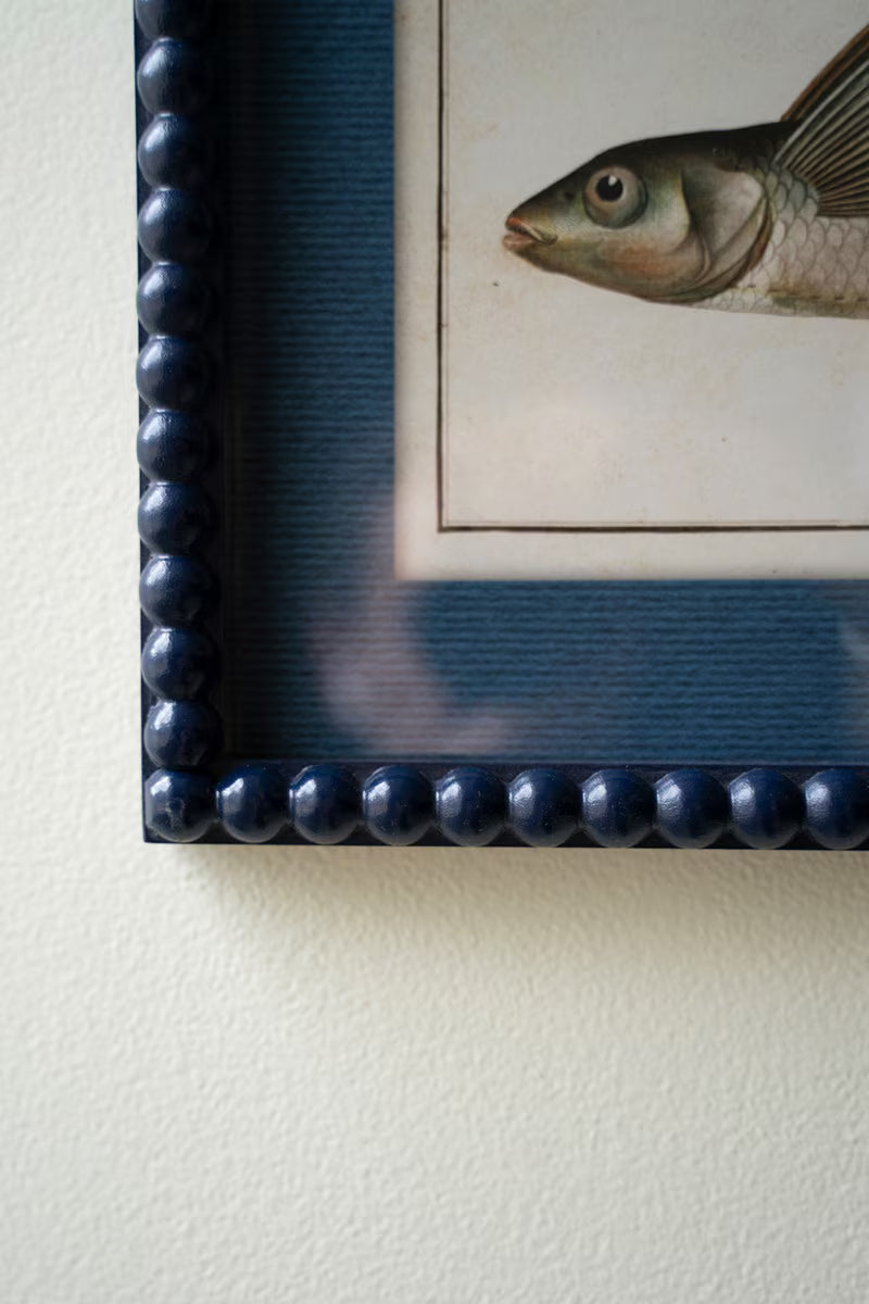 Set Of Two Navy Framed Fish Prints Under Glass By Kalalou