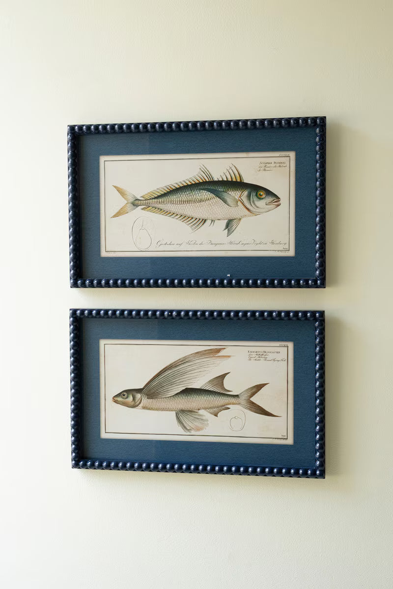 Set Of Two Navy Framed Fish Prints Under Glass By Kalalou