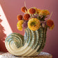 Ceramic Nautilis Shell Vase By Kalalou | Vases | Modishstore - 1