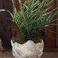 Ceramic Octopus Vase By Kalalou