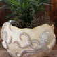 Ceramic Octopus Vase By Kalalou