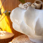 Organic White Ceramic Compote By Kalalou