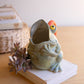 Ceramic Pitcher - Frog By Kalalou