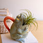 Ceramic Pitcher - Frog By Kalalou