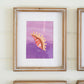 Set Of Six Framed Sea Shells Under Glass By Kalalou | Wall Painting | Modishstore - 3