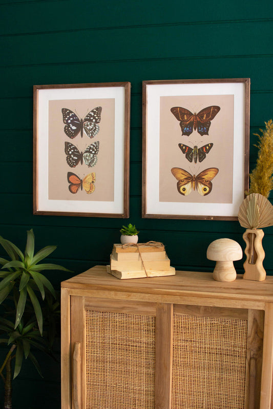 Framed Butterfly Prints Under Glass Set Of 2 By Kalalou | Wall Painting | Modishstore