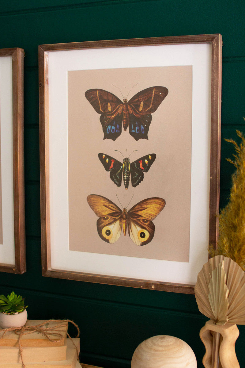 Framed Butterfly Prints Under Glass Set Of 2 By Kalalou | Wall Painting | Modishstore - 4