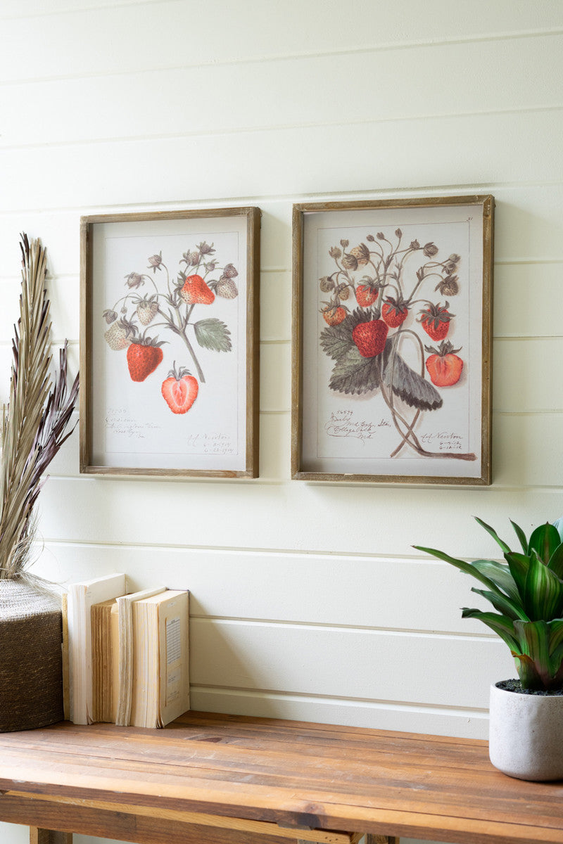 Framed Strawberry Prints Under Glass Set Of 2 By Kalalou | Wall Painting | Modishstore