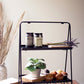 Two Tiered Rectangle Display Rack By Kalalou | Display Cases | Modishstore
