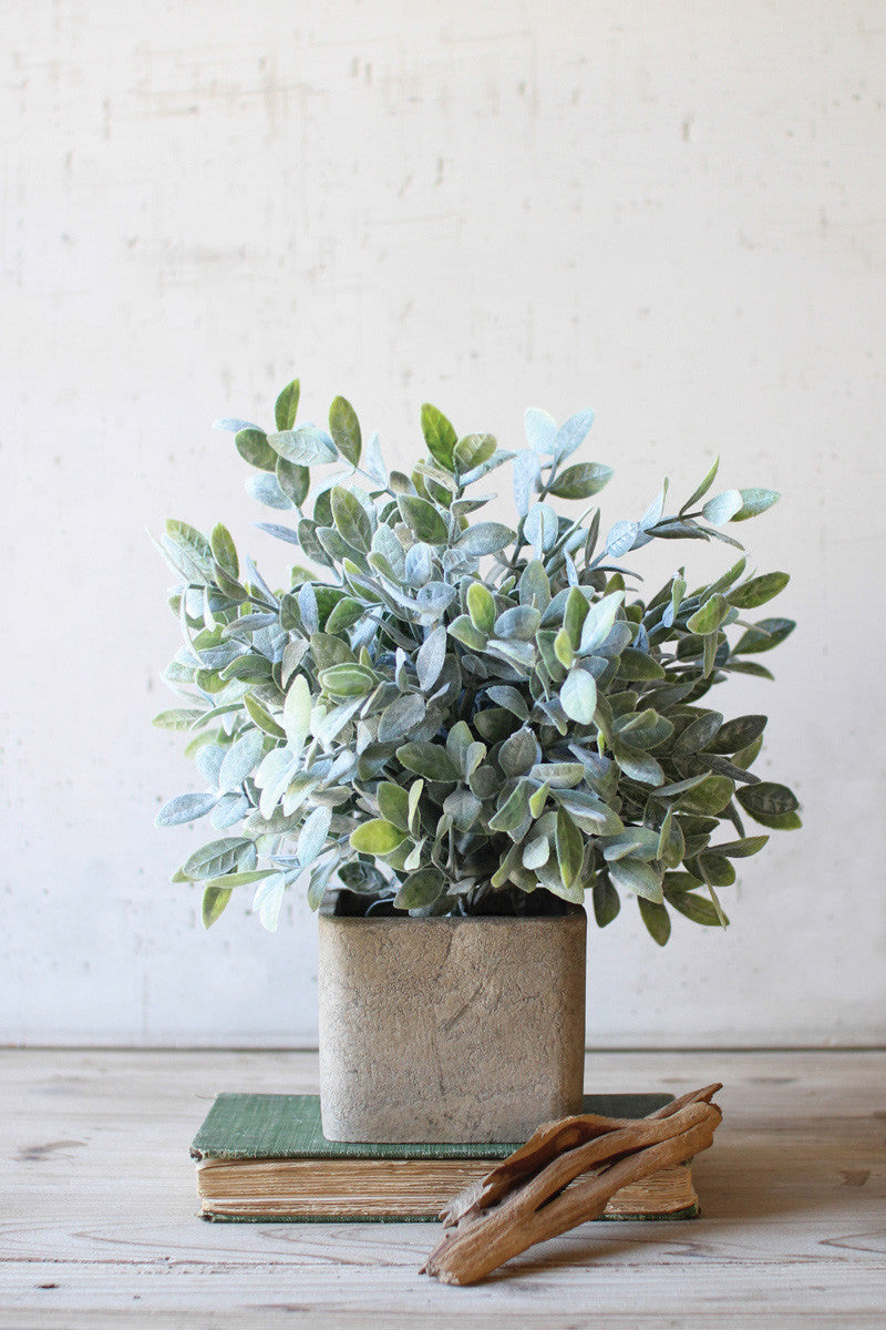 Artificial Sage Bush In A Square Pot (Min 4) By Kalalou | Botanicals | Modishstore