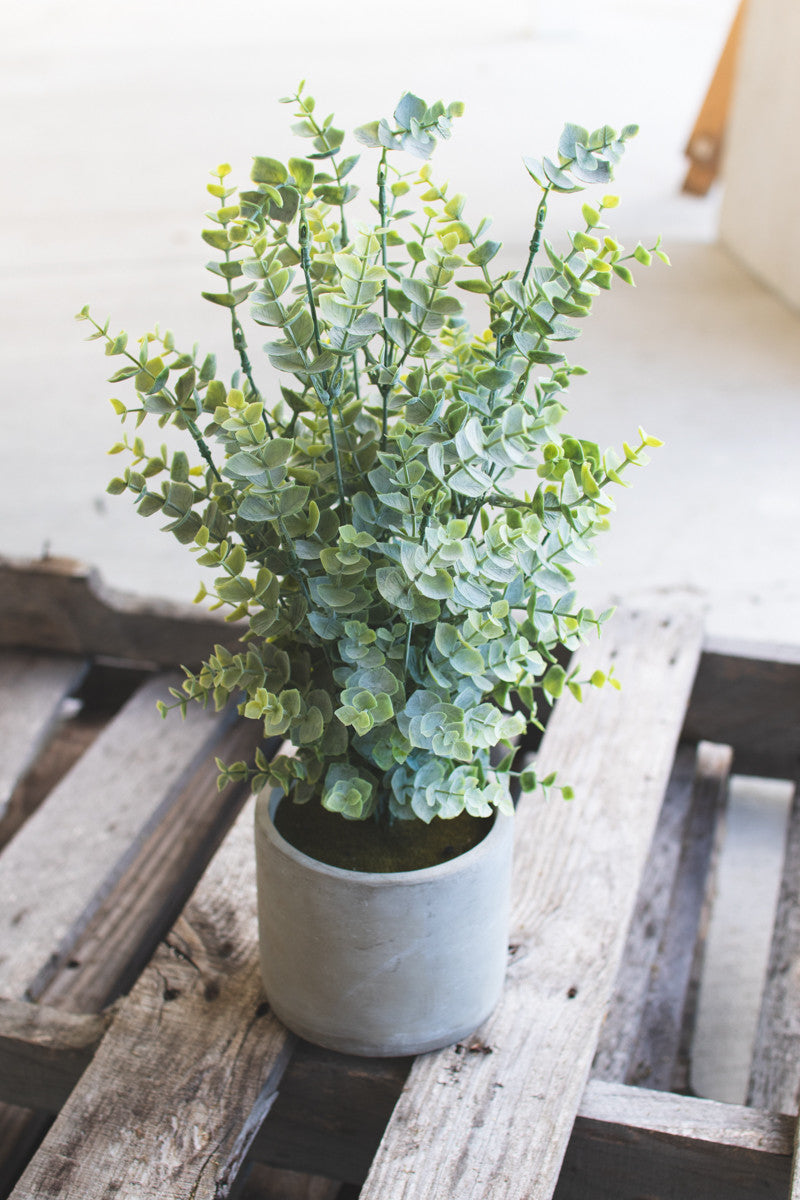 Artificial Boxwood In A Cement Pot Set Of 4 By Kalalou | Planters, Troughs & Cachepots | Modishstore