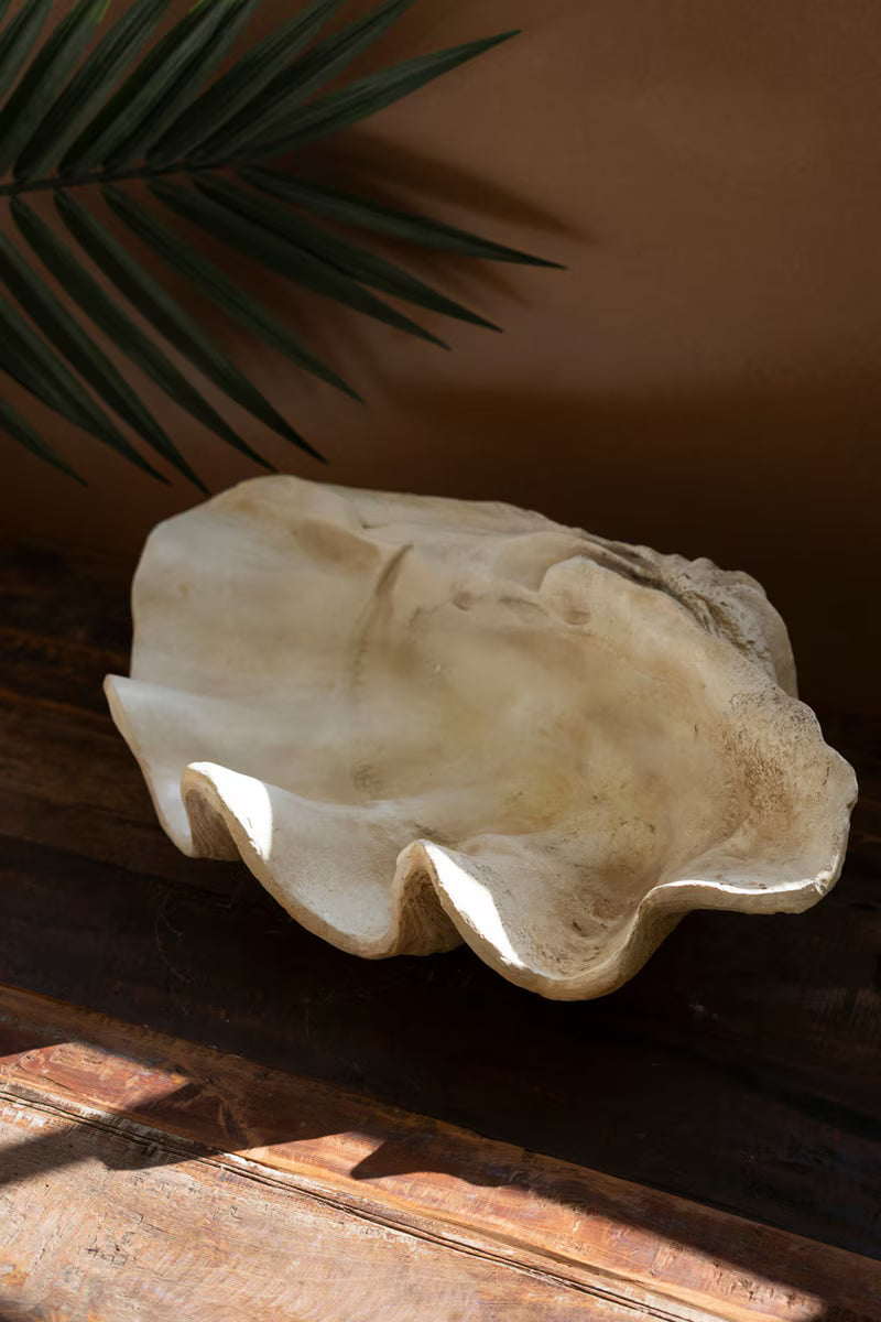 Giant Resin Clam Shell By Kalalou