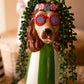 Set Of Three Ceramic Dogs With Sun Shades Vases By Kalalou
