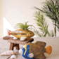 Set Of Two Ceramic Fish Vases By Kalalou