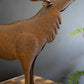Rustic Metal Elk By Kalalou