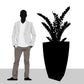 ZZ Plant in Cascade Planter, Black Satin By Gold Leaf | Planters, Troughs & Cachepots | Modishstore - 2