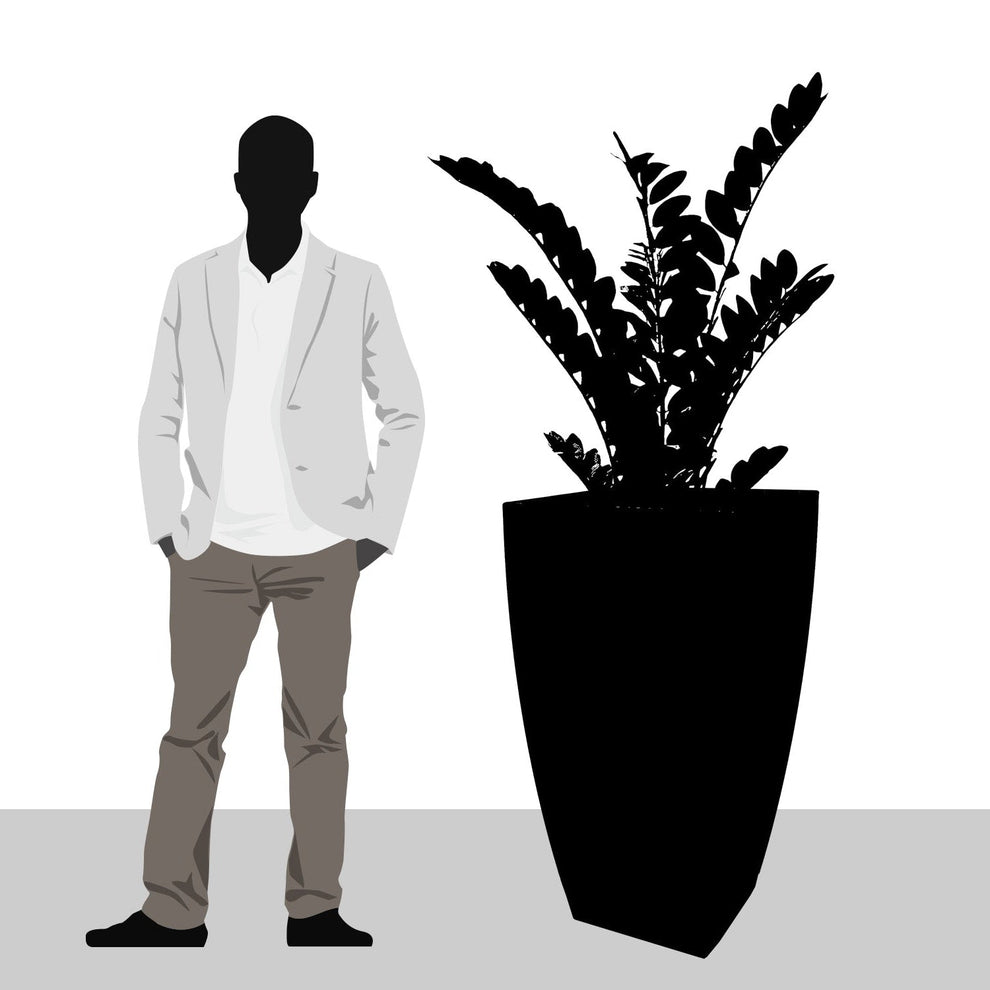 ZZ Plant in Cascade Planter, Black Satin By Gold Leaf | Planters, Troughs & Cachepots | Modishstore - 2