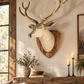 Driftwood Deer Head With Antlers- 4 ft x3 ft x 2 ft- Stag Trophy Head by Artisan Living