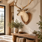 Driftwood Deer Head With Antlers- 4 ft x3 ft x 2 ft- Stag Trophy Head by Artisan Living