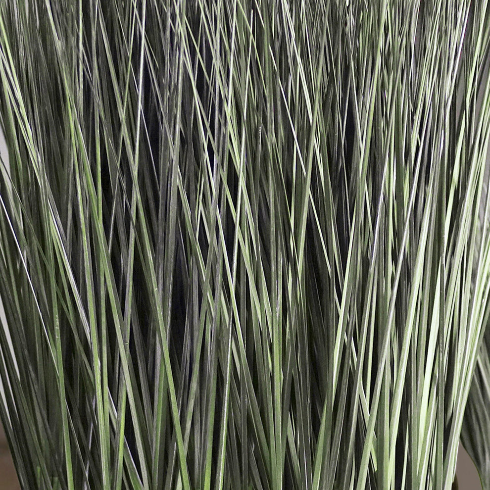 Grass: Cortada Grass in Barrel Planter MD, Brown DK Satin By Gold Leaf | Planters, Troughs & Cachepots | Modishstore - 2