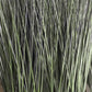 Grass: Cortada Grass in Barrel Planter SM, Brown DK Satin By Gold Leaf | Planters, Troughs & Cachepots | Modishstore - 2
