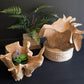 Blooming Teak Root Bowl By Kalalou | Decorative Bowls | Modishstore