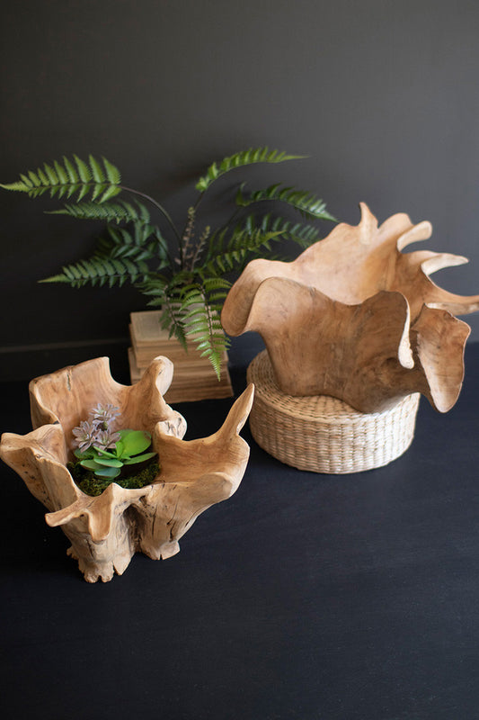 Blooming Teak Root Bowl By Kalalou | Decorative Bowls | Modishstore