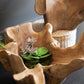 Blooming Teak Root Bowl By Kalalou | Decorative Bowls | Modishstore - 4