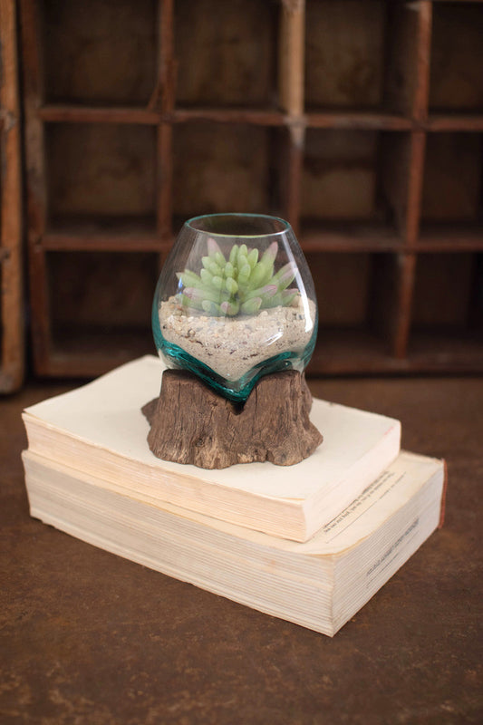 Blown Glass Bowl On Driftwood Base - Small (Min 2) By Kalalou | Decorative Bowls | Modishstore