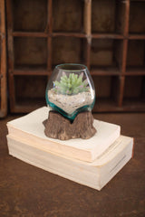 Blown Glass Bowl On Driftwood Base - Small (Min 2) By Kalalou