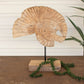 Teak Nautilus Shell On A Stand By Kalalou | Stands | Modishstore - 1