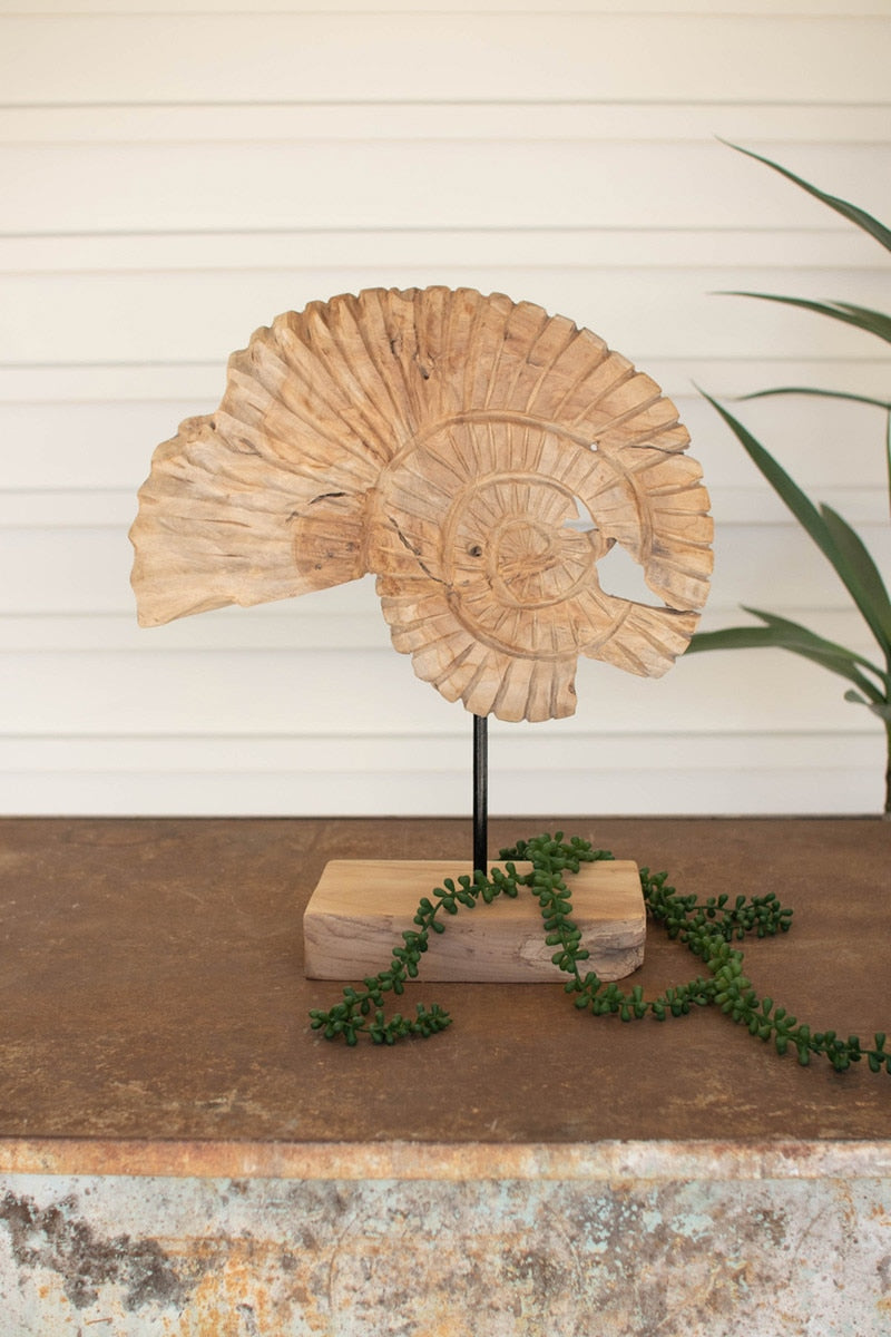 Teak Nautilus Shell On A Stand By Kalalou | Stands | Modishstore - 1