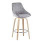 Diana Fixed Height Counter Stool - Set of 2 By LumiSource - B26-DIANACORGRT-R2 NAGY2 | Counter Stools | Modishstore - 2
